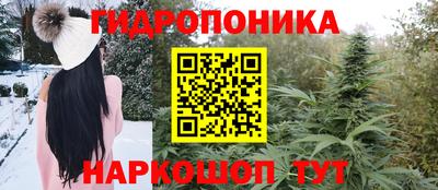 ГАЛЛЮЦИНОГЕННЫЕ ГРИБЫ Тверь