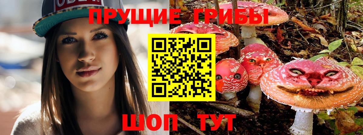 Волжский  хочу наркоту  Вход с VPN  Псилоцибиновые грибы ЛСД 